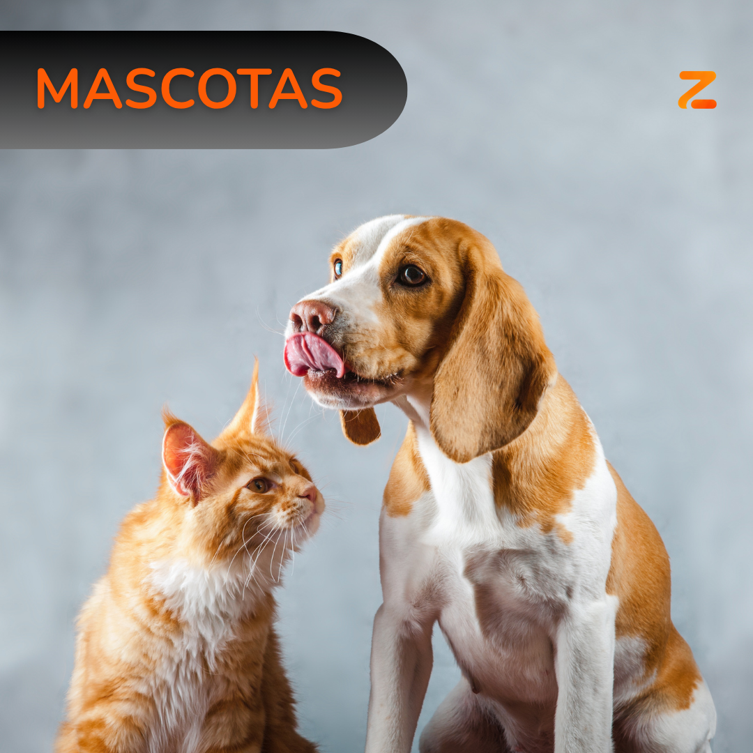 MASCOTAS